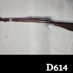 Lee Enfield .303