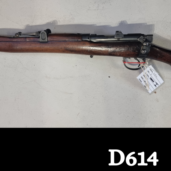Lee Enfield .303
